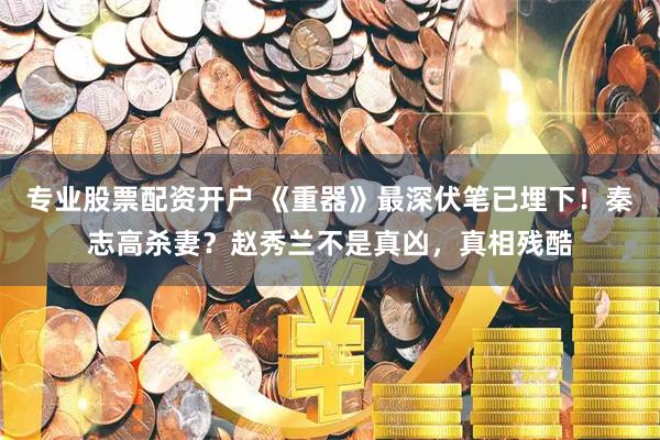 专业股票配资开户 《重器》最深伏笔已埋下！秦志高杀妻？赵秀兰不是真凶，真相残酷